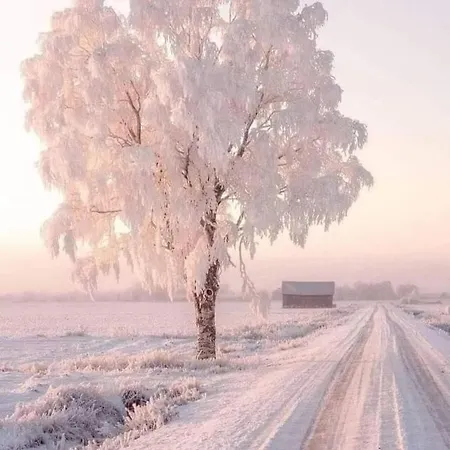 公寓 Casas Natura - Rural (adults Only) *