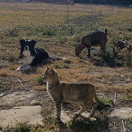 Casas Natura - Rural (adults Only) *