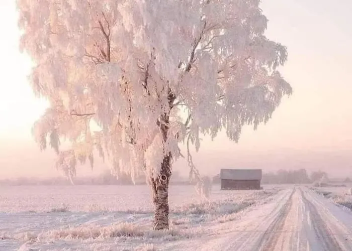 Apartamento Casas Natura - Rural *